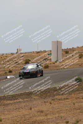 media/May-03-2025-Lucky Dog Racing (Sat) [[206de64b9d]]/Turn 6 (150pm-230pm)/